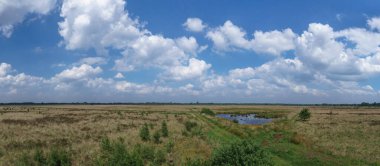 Düz manzaralı küçük gölü olan bir bozkır manzarası ve yukarıda bulutlu gökyüzü, Almanya, Recker Moor