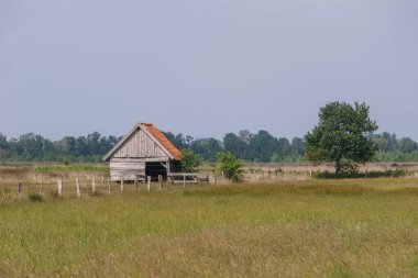 Bozkır arazisinde gri ahşap kulübe çitli ve çayırdaki ağaç, Recker Moor, Almanya