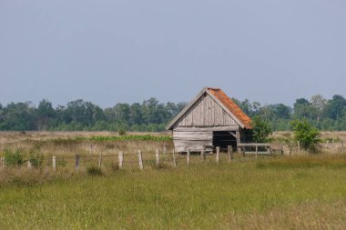 Bozkır arazisindeki gri ahşap kulübe çitle çevrili, Recker Moor, Almanya