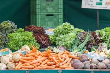 Havuç, marul, pancar, taze soğan ve kereviz.