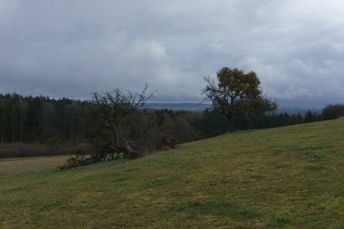 Bulutlu bir günde kırsal alanda düşen ağaçlar üstüne düşen fırtınalar.