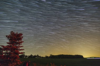 Dünya 'nın köknar ağacı ve çayırla dönüşümlü hareketinin güzel yıldız izi görüntüsü