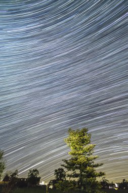 Önplanda aydınlatılmış köknar ağacı ile dünyanın dönen hareketinin güzel yıldız izi görüntüsü