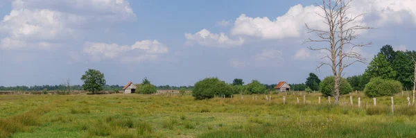 Bozkır manzarası, çayır üzerinde iki gri ahşap kulübe ve yazın gökyüzü bulutlu, Recker Moor, Almanya