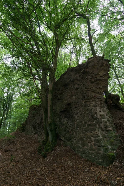 Ormandaki eski bir kalenin eski taş duvarı, Almanya, Neroth