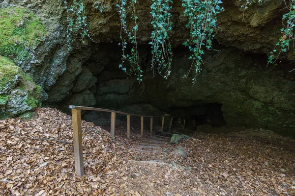 Eingang Einer Höhle Wald Mit Treppe Und Geländer Den Fels — Stockfoto