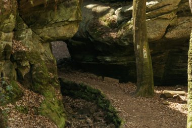 Güneş ışığı, Mullerthal, Berdorf, Lüksemburg 'un yanı sıra ağaç gövdesiyle kaya yarığının içinden geçen yol