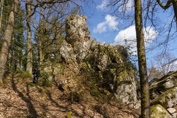 Grande Roccia Oltre Sentiero Forestale Con Escursionista All Inizio Della — Foto Stock