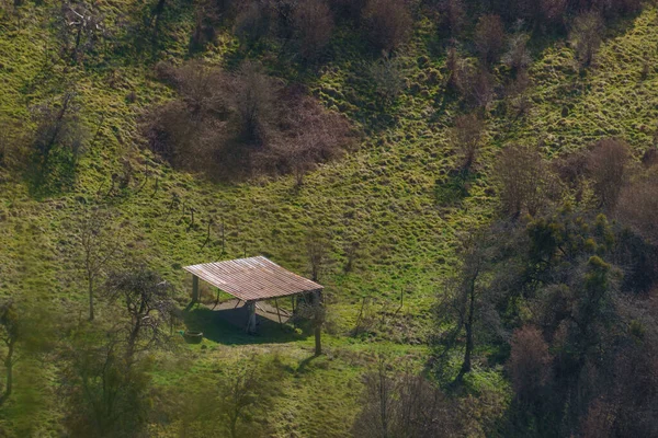 Vista Alto Angolo Capannone Solitario Circondato Prato Verde Alberi — Foto Stock