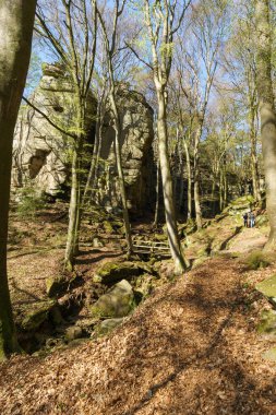 İlkbaharın başlarında, Mullerthal, Berdorf, Lüksemburg 'da yürüyüş yolu ve merdivenleri olan altın güneş ışığı kaya oluşumuna düşüyor.