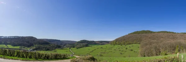 Panorama Van Een Groene Weide Het Vroege Voorjaar Met Bomen — Stockfoto