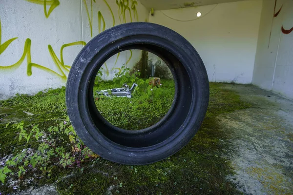 Old Used Tire Abandoned Garage Building Some Green Plants Floor — Stock Photo, Image