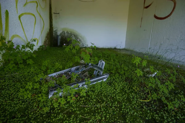 Electrical Garbage Abandoned Garage Building Some Green Plants Floor — Stock Photo, Image
