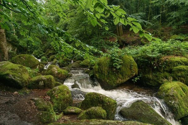 Gertelsbacher Waterfalls Summer Time Buehlertal Black Forest Germany — Foto Stock