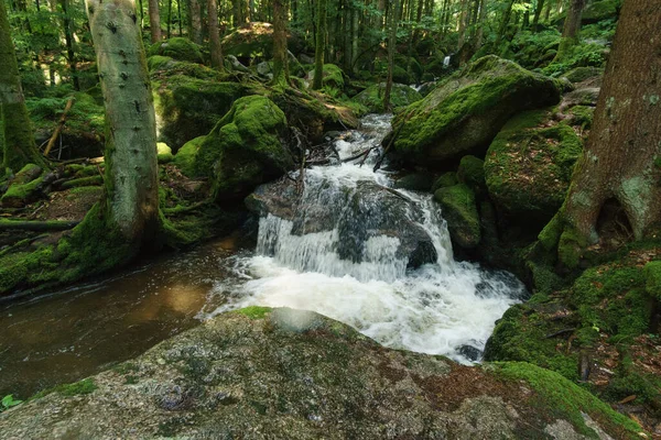 Gertelsbacher Şelaleleri yazın, Buehlertal, Kara Orman, Almanya