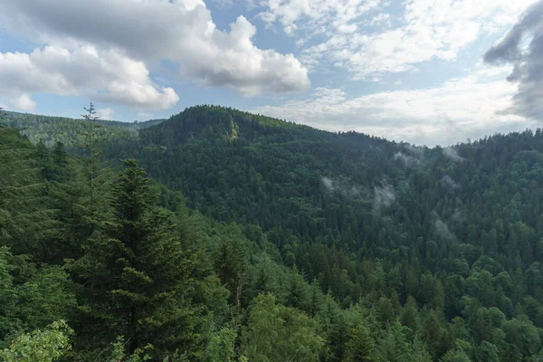 Hill Full Trees Steam Cloudy Sky Sunny Day Black Forest — стокове фото