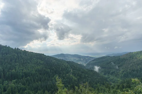 Kara Orman köyü, Almanya 'nın Buehlertal bölgesinde parlayan güneş ışınlarıyla çevrili ağaçlarla çevrili.