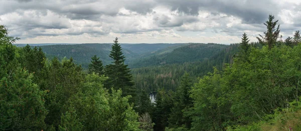 View Black Forest Landscape View Wild Lake Und Partly Cloudy — стокове фото
