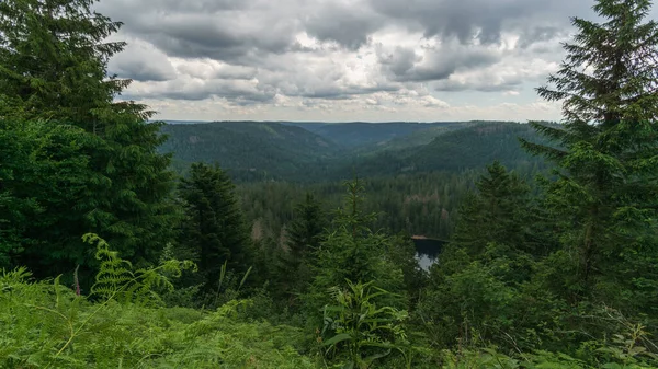 View Black Forest Landscape View Wild Lake Und Partly Cloudy — Stockfoto