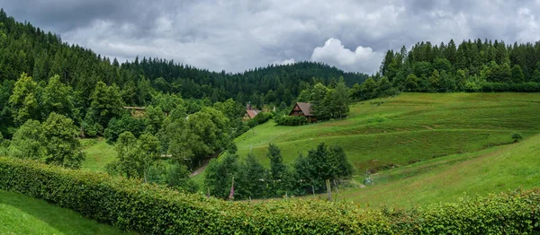 Scenic Panoramic View Picturesque Mountain Forest Summertime House Meadow Black — Stockfoto