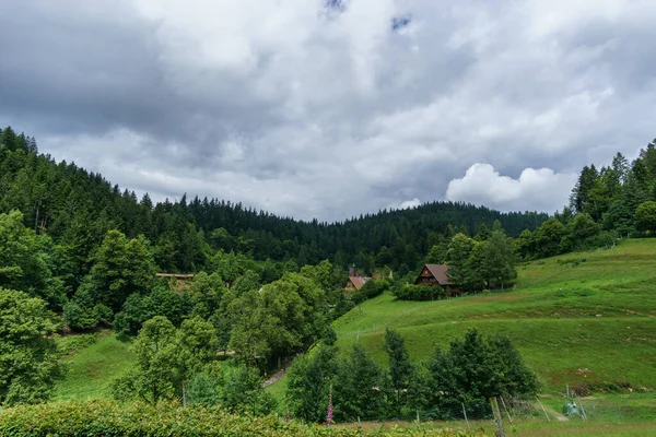 Landschappelijk Uitzicht Een Pittoresk Bergbos Zomer Met Huis Een Weide — Stockfoto