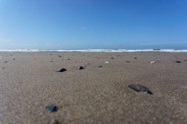 Kuzey denizinin ufuk çizgisinde midye kabuklarıyla kumlu sahil manzarası