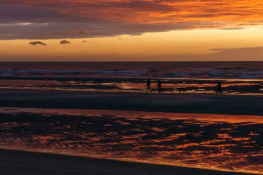 Kuzey Denizi 'nin üzerinde karamsar bulutlu gökyüzü ve insan ve köpeklerin silueti ile güzel bir gün batımı, De Haan, Belçika.