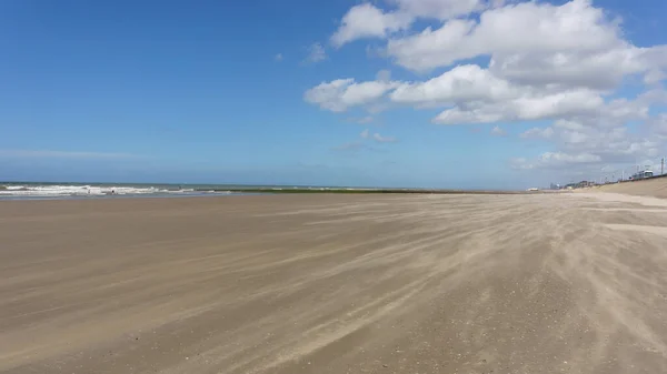Endless Beach North Sea Sand Blown Wind Oostende Belgium — Stockfoto