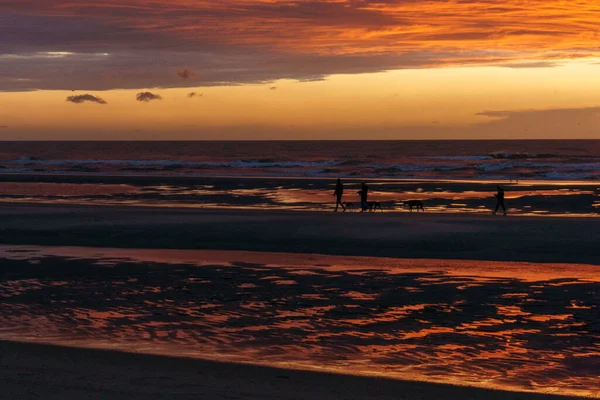 Kuzey Denizi 'nin üzerinde karamsar bulutlu gökyüzü ve insan ve köpeklerin silueti ile güzel bir gün batımı, De Haan, Belçika.