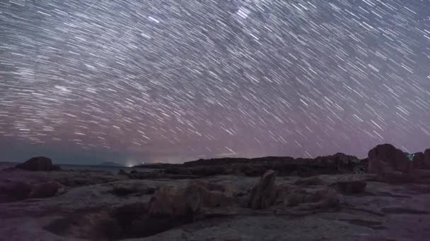 Startrails Stone Forest Geopark Agios Nikolaos Fossilized Tree Trunks Coast — стоковое видео