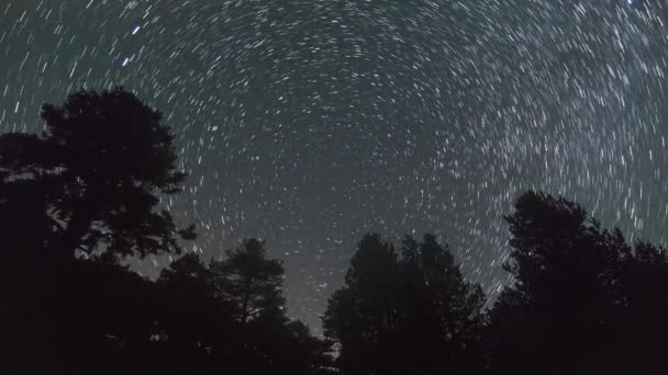 Estrellas Movimiento Como Senderos Alrededor Polaris Centro Por Noche Sobre — Vídeos de Stock