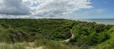 Kuzey Denizi 'nde yeşil bitki örtüsü, Bray-Dunes, Fransa' da panoramik manzara