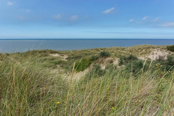 Duinlandschap Aan Noordzee Met Groen Gras Vegetatie Bray Dunes Frankrijk — Stockfoto
