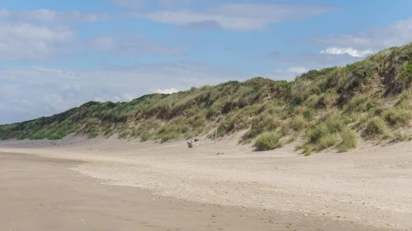 Kuzey Denizi 'ndeki kumsalda yeşil çimenler, Bray-Dunes, Fransa