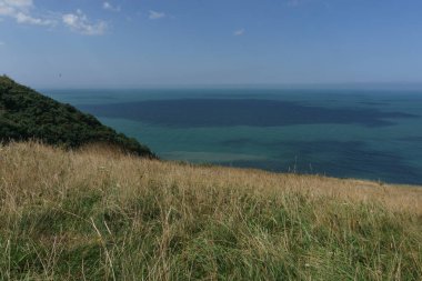 Güneşli bir yaz gününde mavi denizin önünde yeşil bir çayır, Normandiya, Fransa