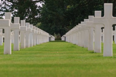 Omaha Beach Cimetiere Americain, Colleville-sur-Mer, Normandiya, Fransa 'daki Amerikan Savaş Mezarlığı' nda şehit olmuş Amerikan askerlerinin beyaz haçları.