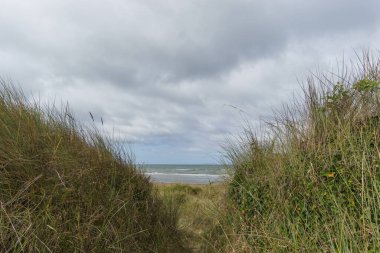 Atlantik 'te kumul manzarası Omaha Sahili, Normandiya, Fransa