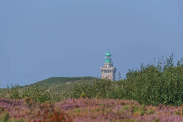 Cap Frehel Deniz Feneri Yazın Fundalarla Kaplanmış Cotes Armor Brittany — Stok fotoğraf
