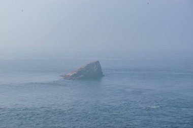 Güzel üçgen şekilli kaya adası 'Amas du cap' sisli bir sonbahar gününde Cote d 'Amour Brittany, Fransa