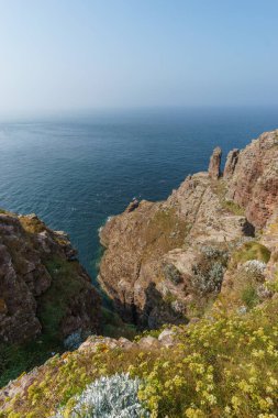 Atlantik Okyanusu 'nda kaya oluşumları ve ön planda fundalık çiçekleri olan güzel sahil, Cote d' Amour, Cap Frehel, Bretagne, Fransa