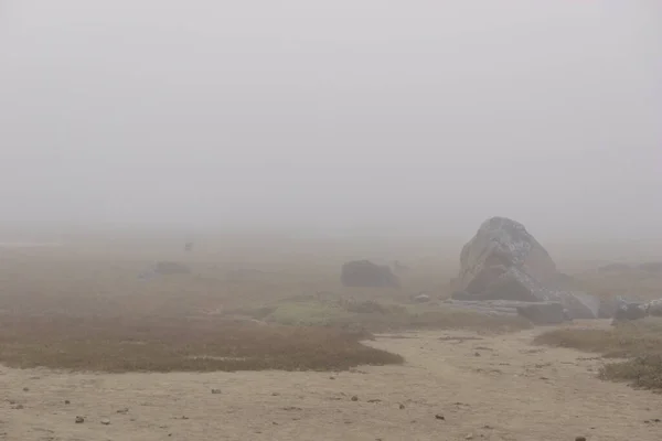 Weg Mit Felsen Nebel Einem Nebligen Mystischen Herbstmorgen Mit Gras — Stockfoto