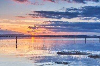 Palisade, göldeki banyonun sınırlarını işaretliyor.