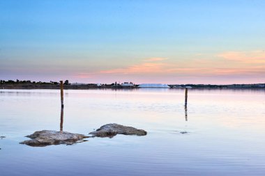 Palisade, göldeki banyonun sınırlarını işaretliyor.