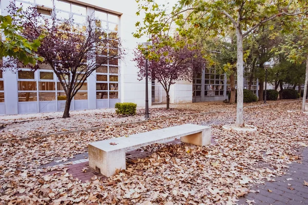 Üniversite bir kış öğleden sonra parklar.