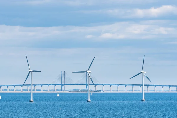 Wind turbine plant in the bay