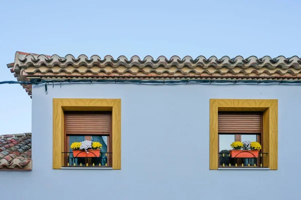 Antique windows adorned with flowers