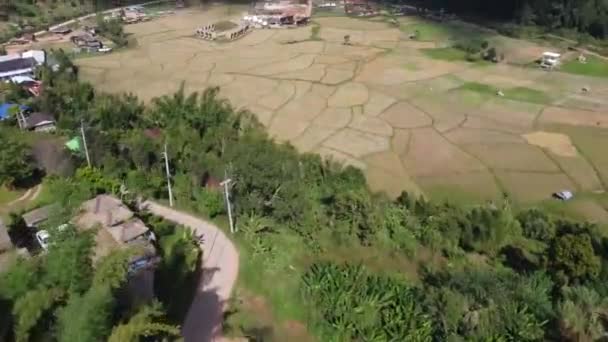 Vue Aérienne Aérienne Dessus Survolant — Video