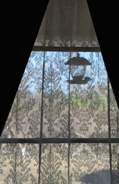 Looking out window at bird at bird feeder in silhouette through lace curtains.