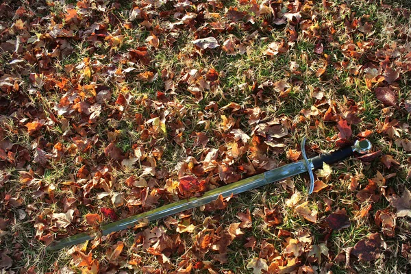 A long sword on the ground with autumn maple leaves.