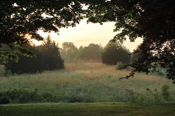 View of a sunrise or sunset over a wild meadow and forest in northwest Alabama.